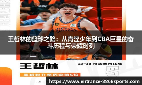 8868体育官网入口
